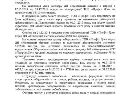 Фірма, яка наближена до родича відомого лісника Сиси, має майже 6 мільйонів боргу перед держлісгоспом