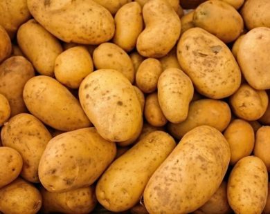Дві школи Харківської обласної ради купують картоплю з різницею в півтора рази