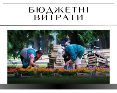 Харківська міськрада скасувала тендери на догляд за зеленими насадженнями і посадкою однорічних квітів на 63 мільйони