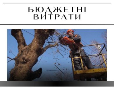 Фірмі з оточення голови адміністрації віддали мільйон на обрізку дерев у Слобідському районі (Оновлено)